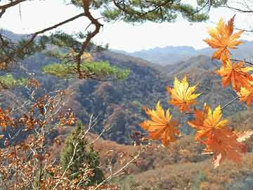 米非司酮片在线购微信国富氢能早盘涨幅持续扩大 股价现涨超9%